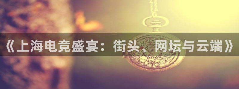乐竞电竞体育：《上海电竞盛宴：街头、网坛