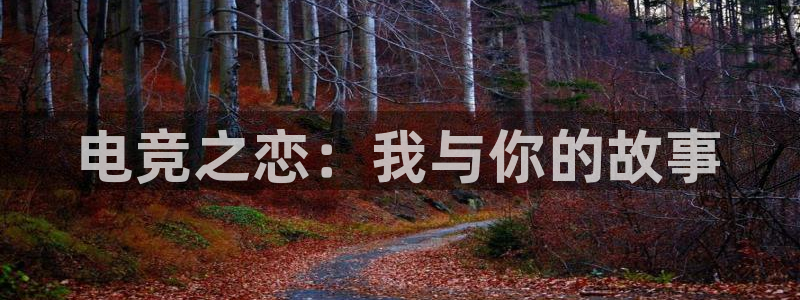 乐竞电竞超级玩家：电竞之恋：我与你的故事