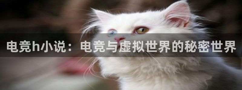 乐竞电竞怎么下载