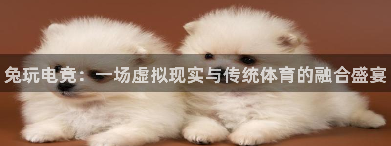 乐竞电竞官网网站