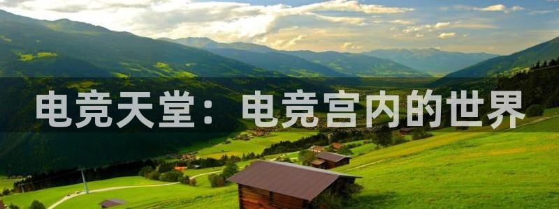 电竞乐竞：电竞天堂：电竞宫内的世界