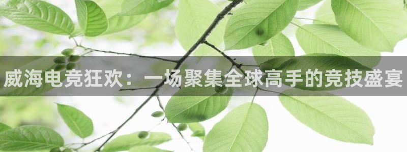 乐竞电竞平台,乐竞电竞平台app官网：威