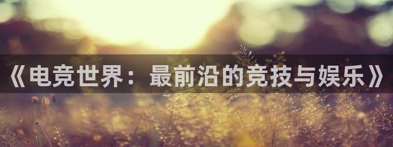 乐竞电竞超玩家包宿多少钱：《电竞世界：最