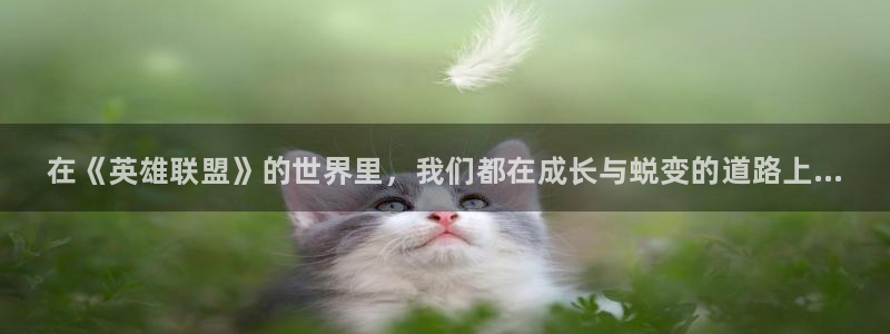 乐竞电竞官网入口：在《英雄联盟》的世界里