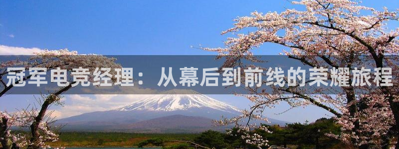 乐竞电竞不结算的来源和历史背景介绍：冠军