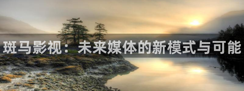 4k影院免费在线观看：斑马影视：未来媒体的新模式与可能