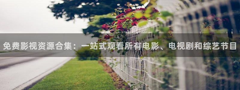 4k影视片源：免费影视资源合集：一站式观看所有电影、电视剧和综艺节目