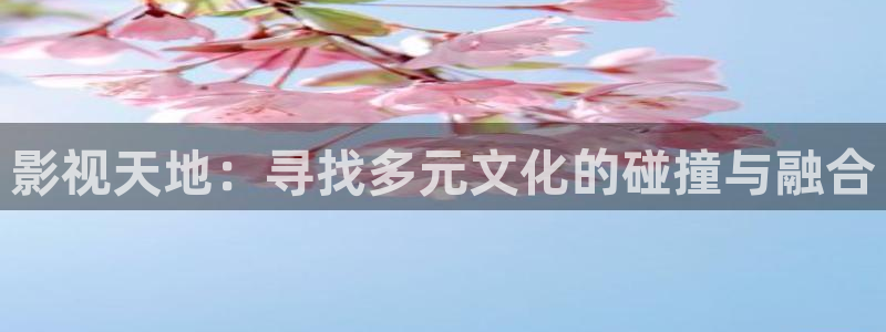 4k影院免费播放：影视天地：寻找多元文化的碰撞与融合