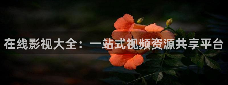 4k影视剧免费网站：在线影视大全：一站式视频资源共享平台