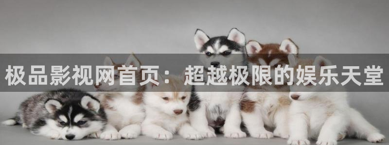 4k影院在线观看电视剧：极品影视网首页：超越极限的娱乐天堂