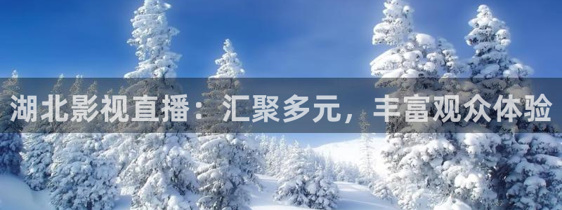 4k影院电视软件：湖北影视直播：汇聚多元，丰富观众体验
