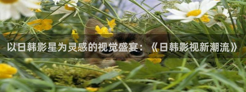 bt4k影视官网电影：以日韩影星为灵感的视觉盛宴：《日韩影视新潮流》