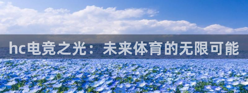 乐竞电竞l y7 9。cn：hc电竞之光