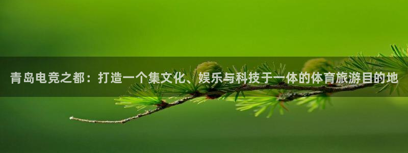 乐竞电竞入口app版：青岛电竞之都：打造