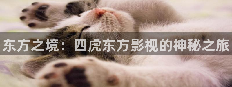 4k影院免费在线观看：东方之境：四虎东方影视的神秘之旅