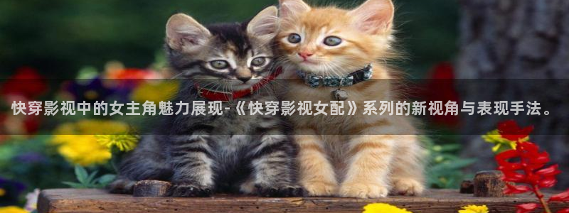 我不卡4k影院手机版：快穿影视中的女主角魅力展现-《快穿影视女配》系列的新视角与表现手法。