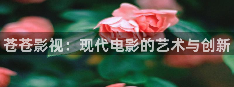 钱库电影院4k影城：苍苍影视：现代电影的艺术与创新